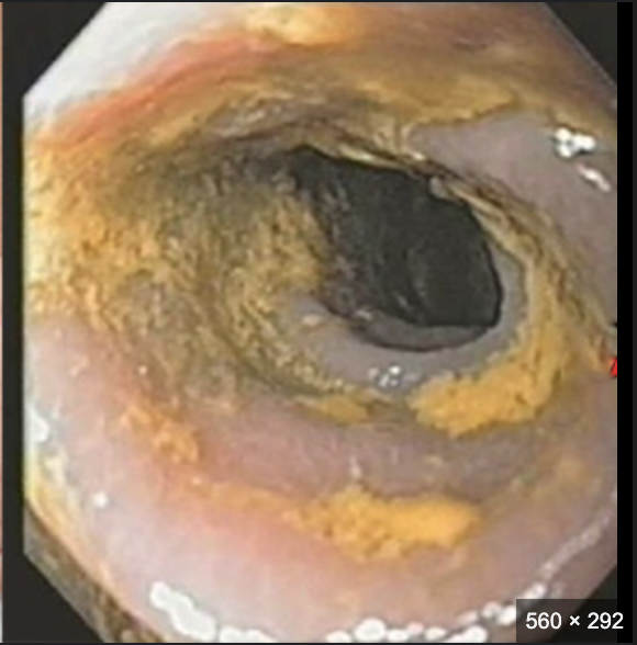 Giường sofa thông minh Colif Smart Bs_thumbnail_3