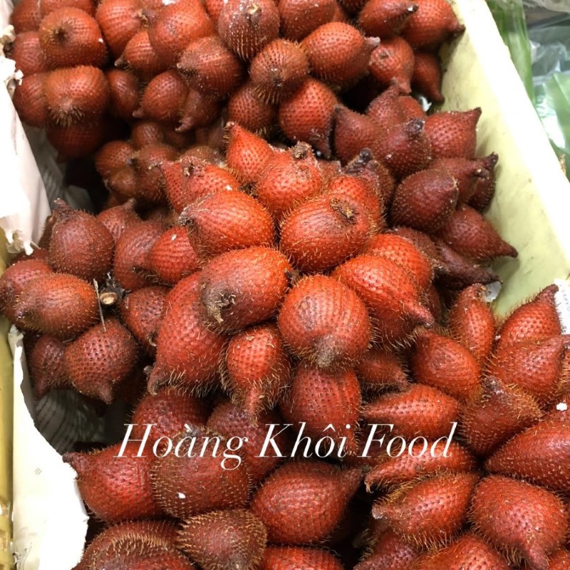 Mây Thái Lan_thumbnail_3