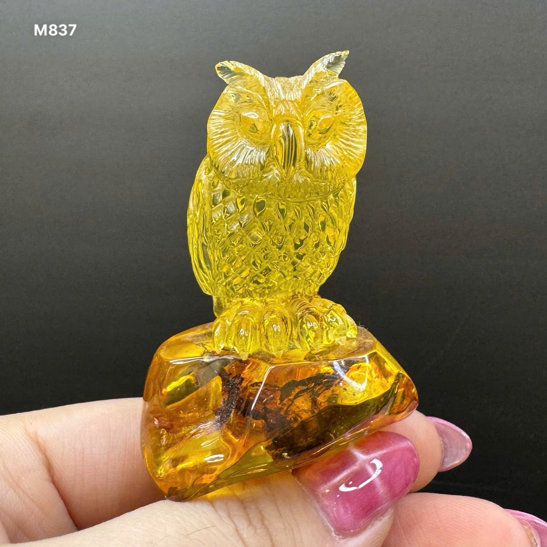 Cú Mèo Hổ Phách Nguyên Khối Cao 60.5mm - M837