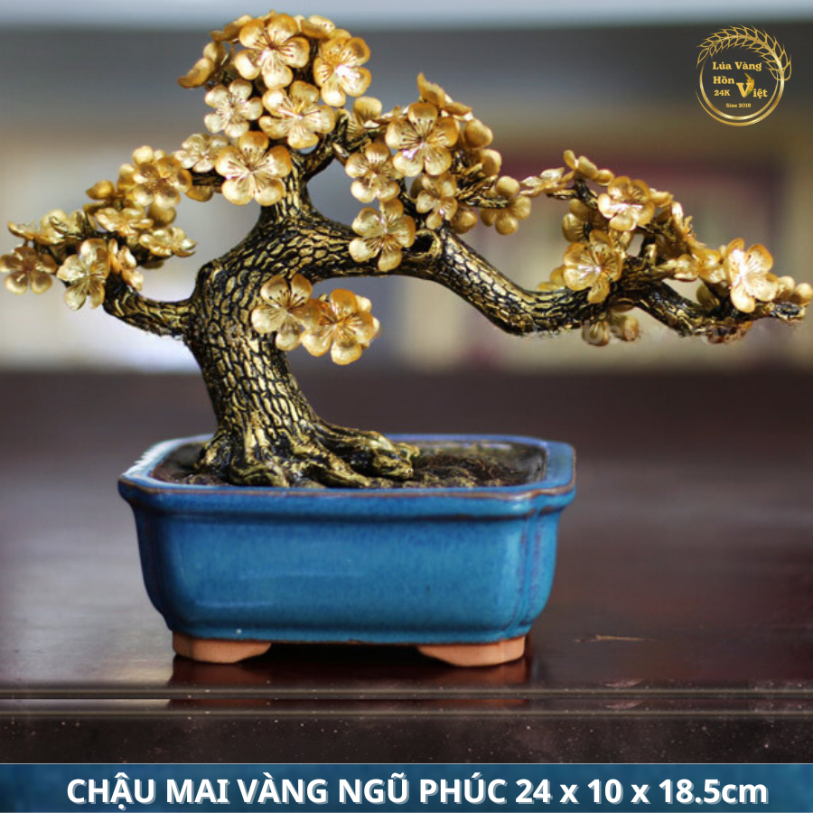 CHẬU MAI VÀNG NGŨ PHÚC 24x10x18.5cm_thumbnail_0