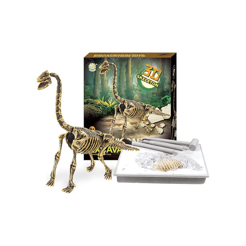 Dino Excavación_thumbnail_9