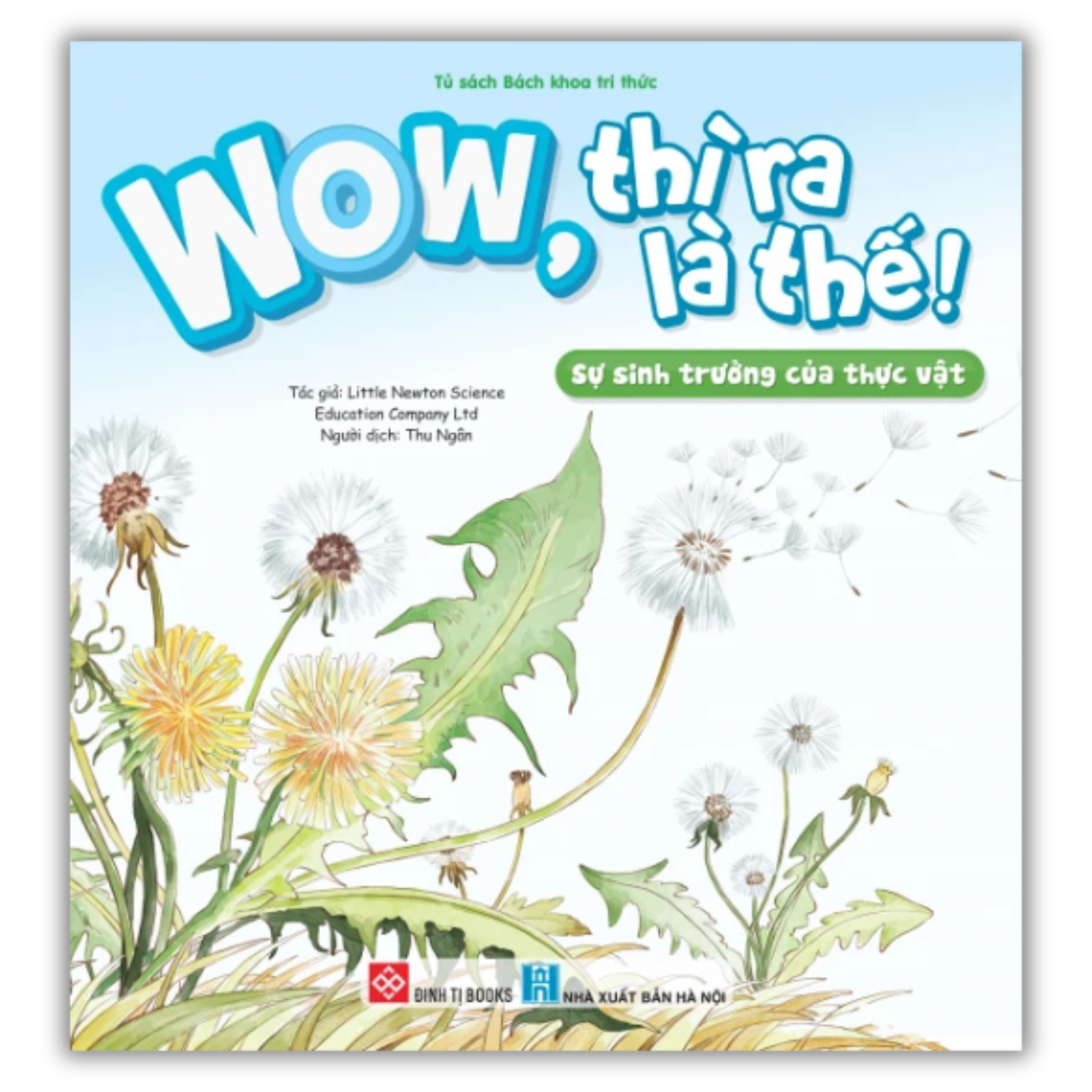 Wow, thì ra là thế! - Sự sinh trưởng của thực vật