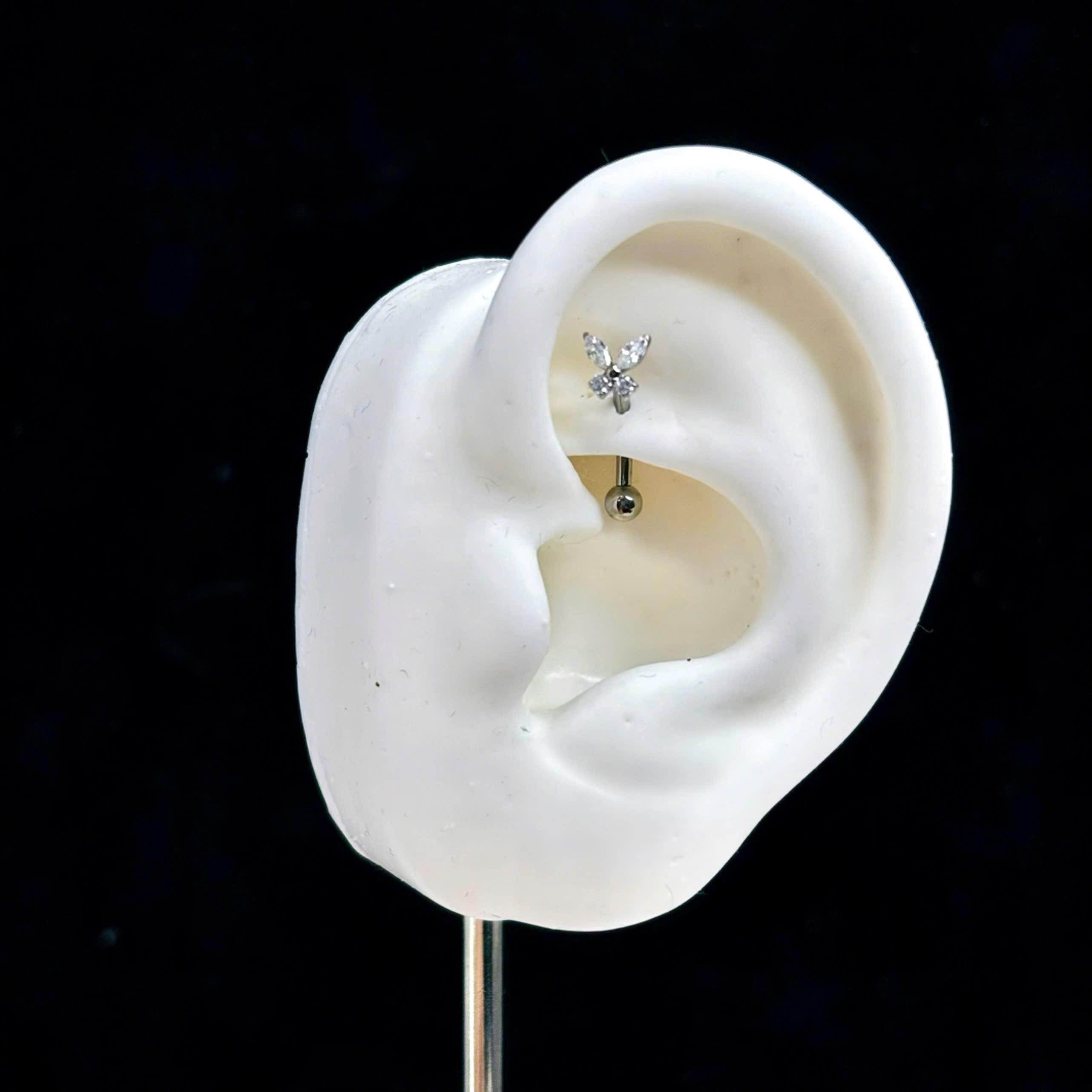 banana titan con bướm trắng đa tình_thumbnail_3