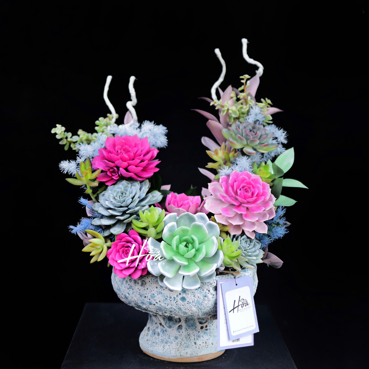 Bình ly sen đá hồng