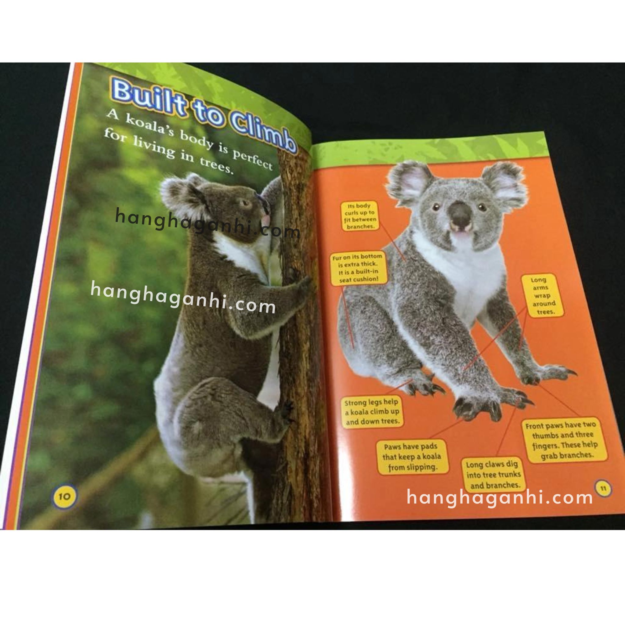 Bộ sách National Geographic Kids level 1 – 46 cuốn , kèm file nghe_thumbnail_4
