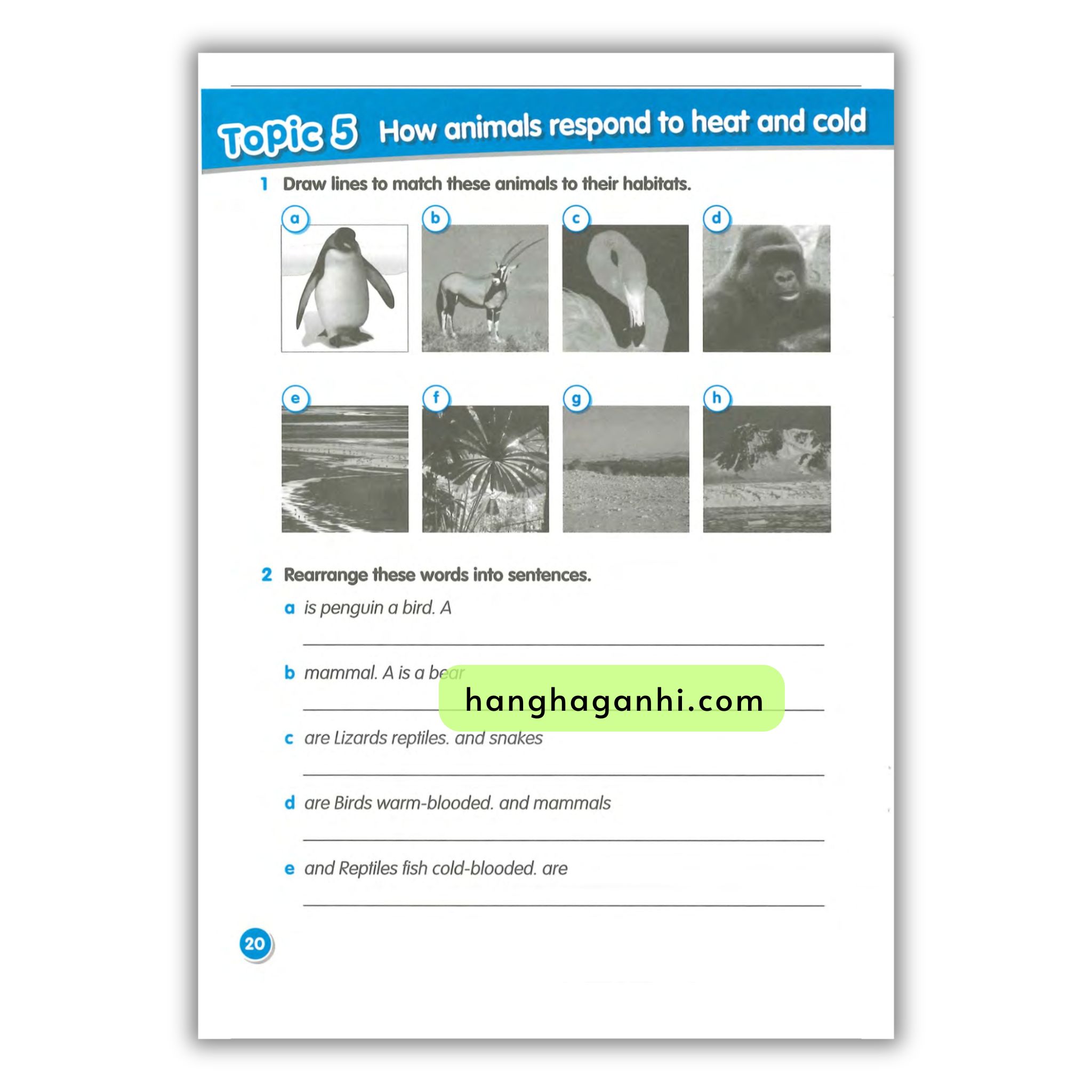Macmillan Science 3 Workbook_thumbnail_11
