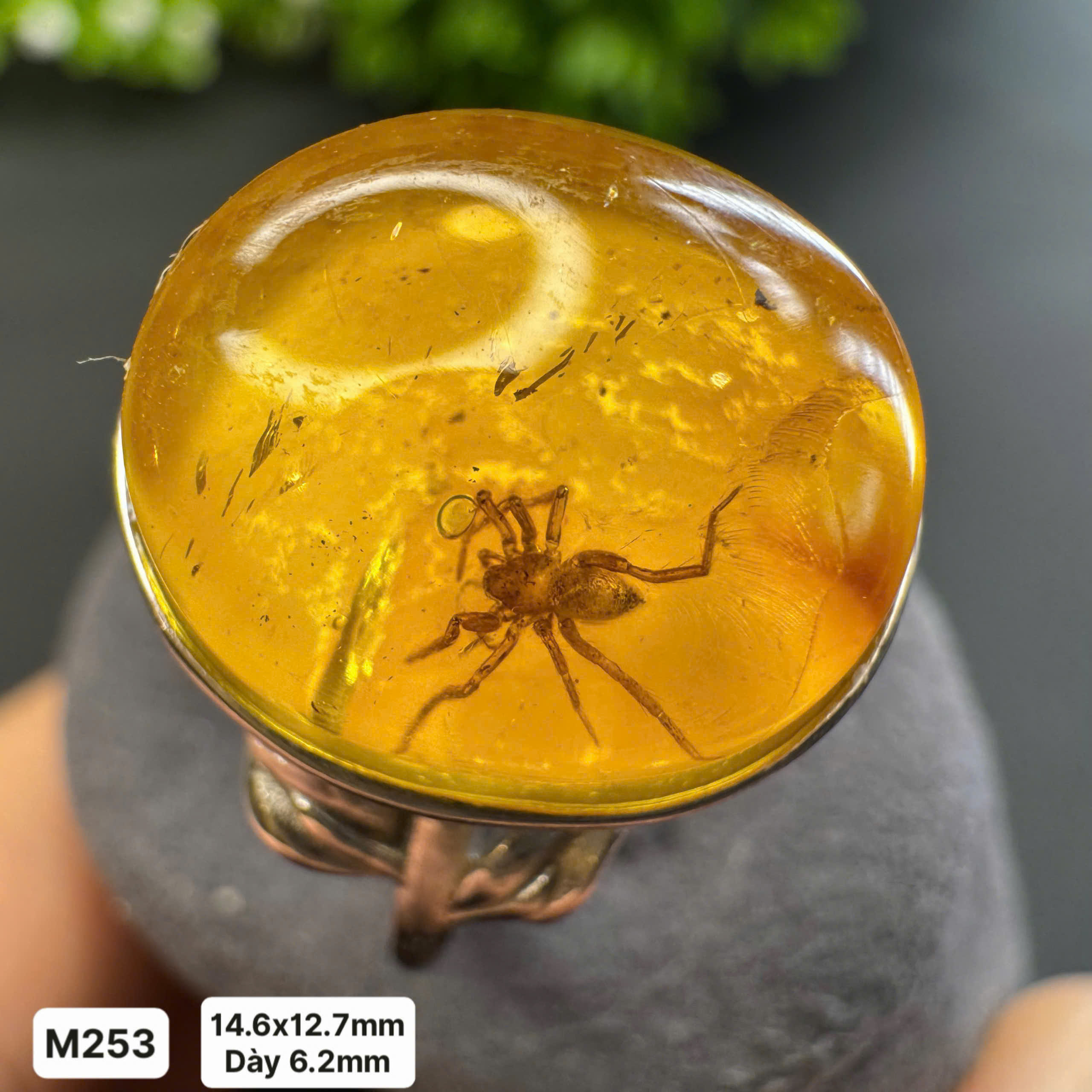 Nhẫn Hổ Phách Côn Trùng - M253