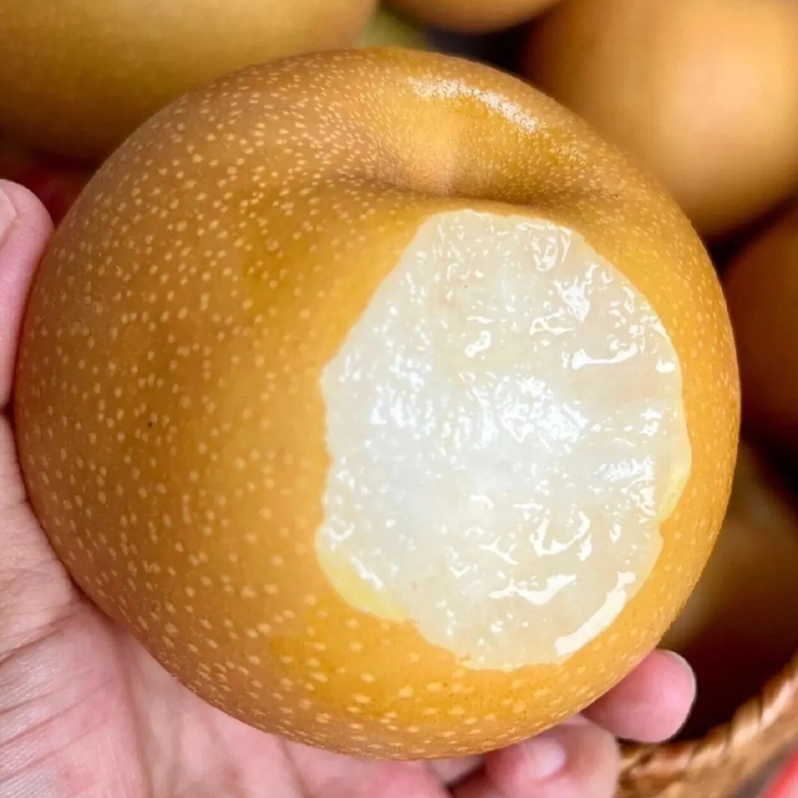 Lê Hàn Quốc_thumbnail_3