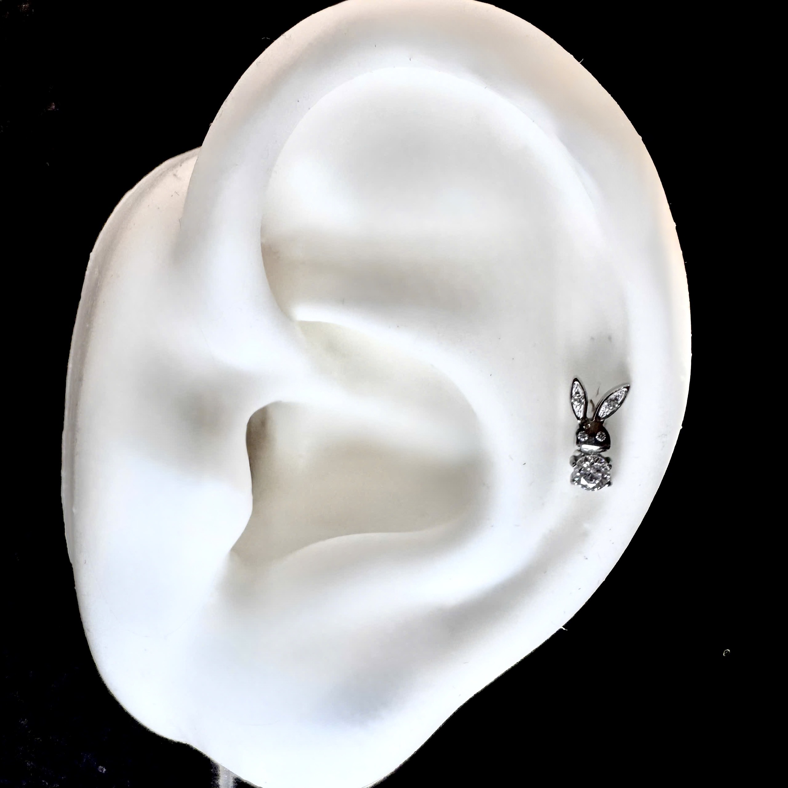 Khuyên kiểu titan thỏ đá_thumbnail_3