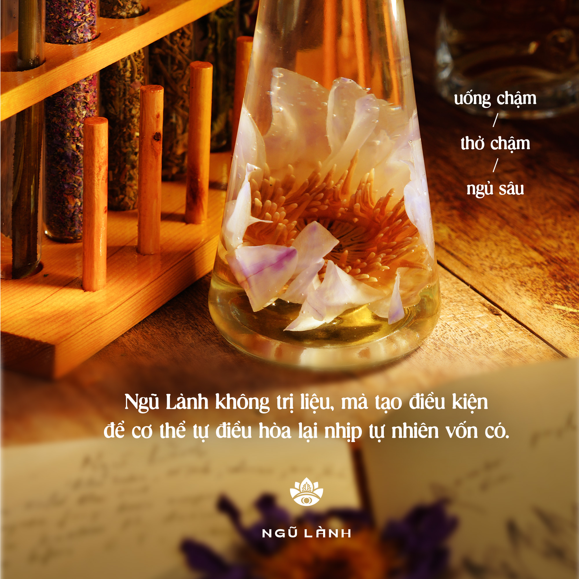 Trà Ngũ Lành - Giảm Căng Thẳng & Điều Hòa Thần Kinh & Ngủ Sâu Tự Nhiên | Natural’s Heal_thumbnail_5