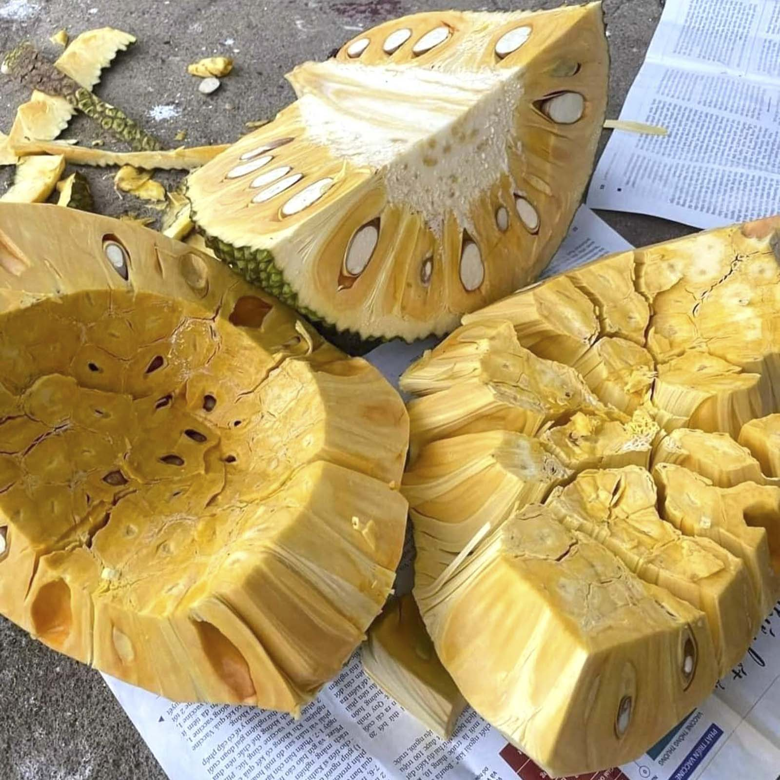 Mít Thái Siêu Sớm_thumbnail_3