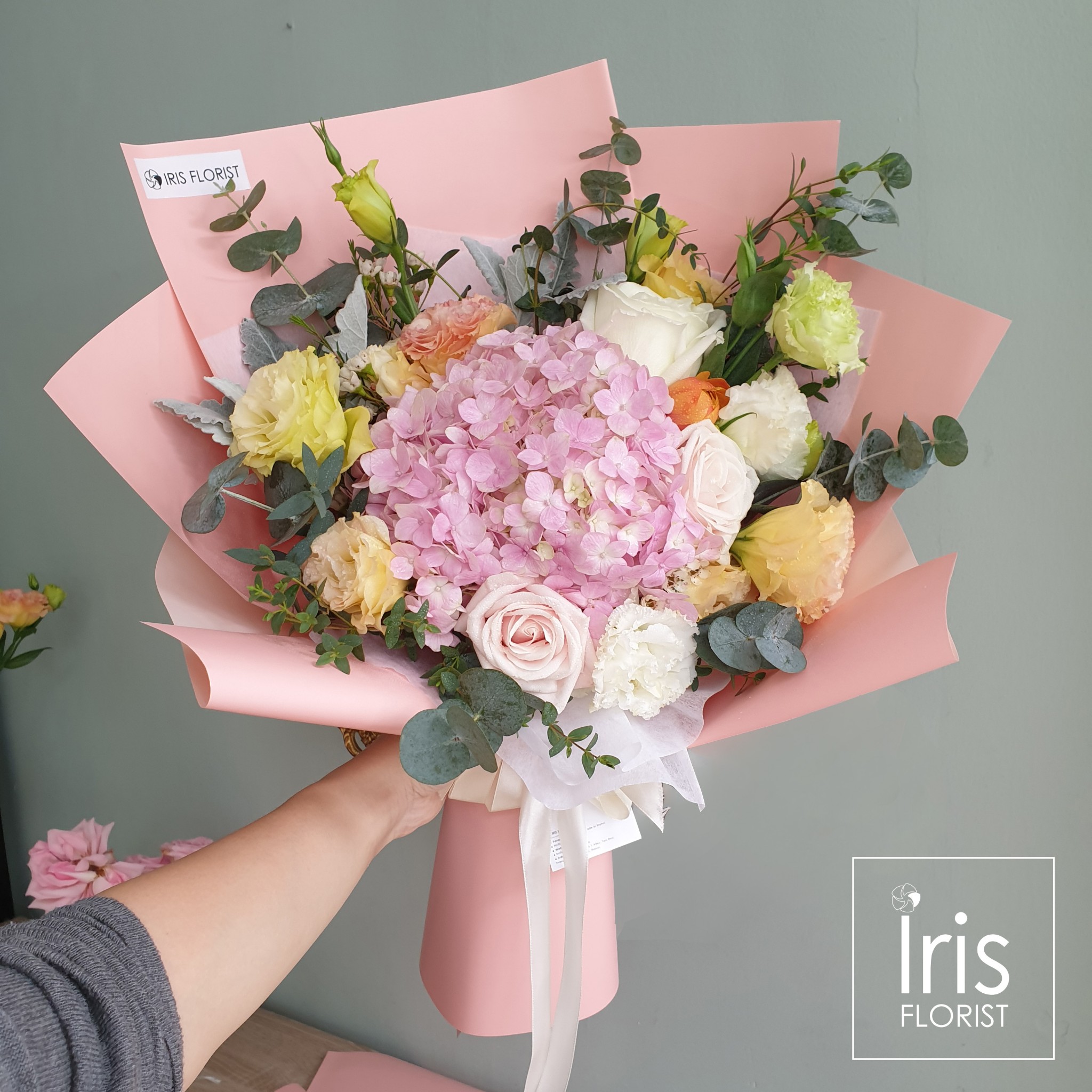 Tú cầu hồng mix