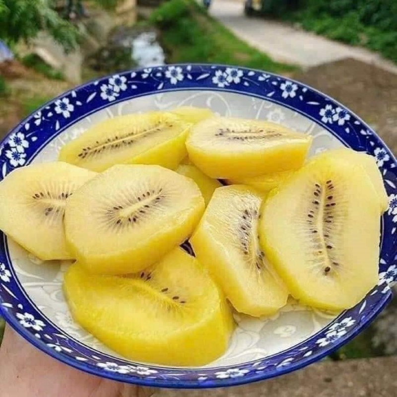 Kiwi Vàng Kangaroo (Đài Loan)_thumbnail_1