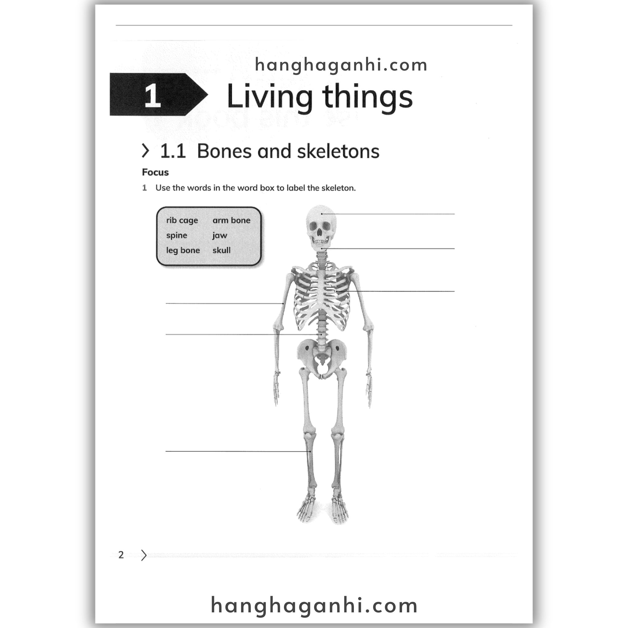 Cambridge Level 4 Primary Science Learner’s Book and Workbook 2nd edition 2021_thumbnail_12