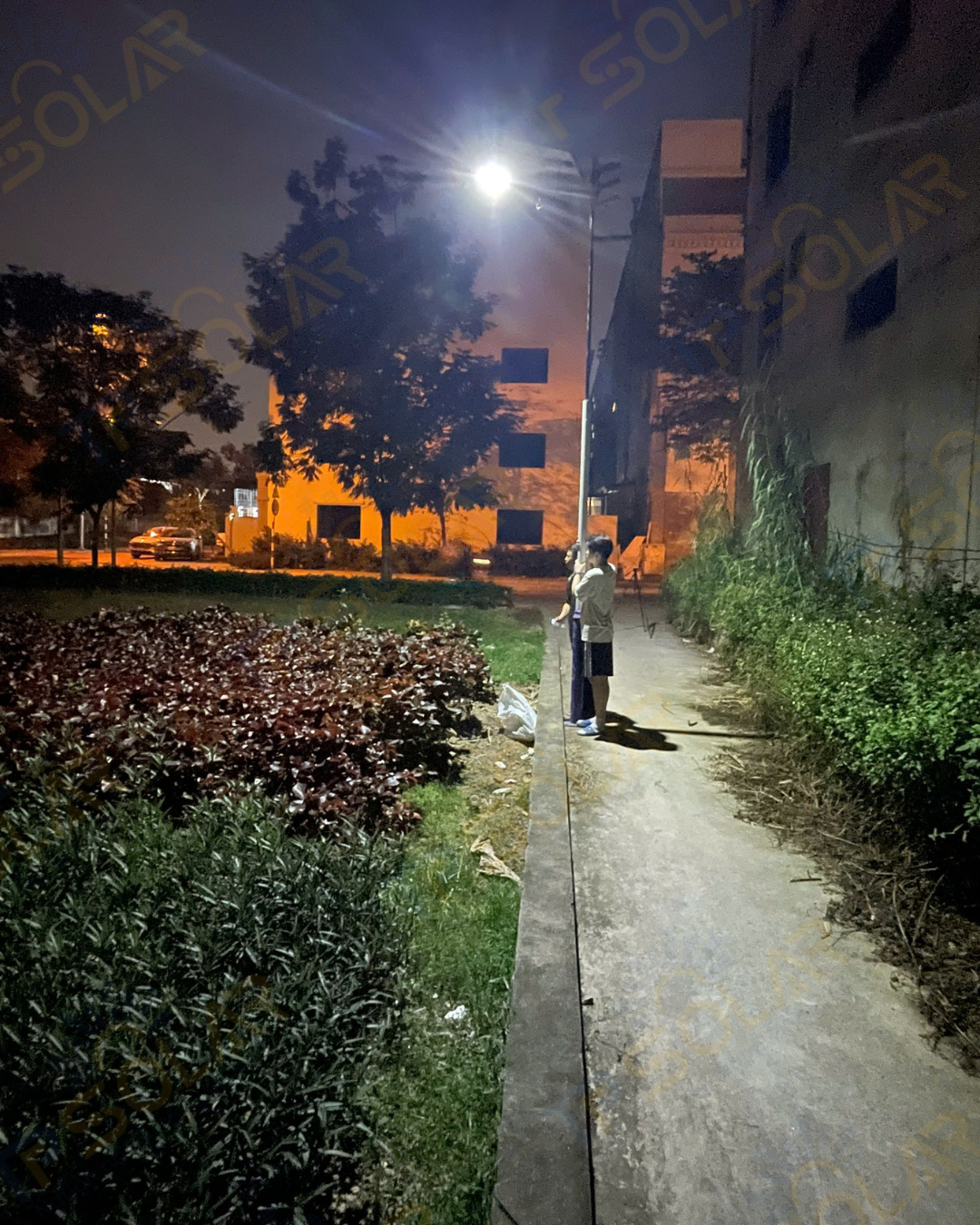 Đèn phi thuyền mắt ngọc cao cấp năng lượng mặt trời (TP-CT600 / TP-CT1000)_thumbnail_3