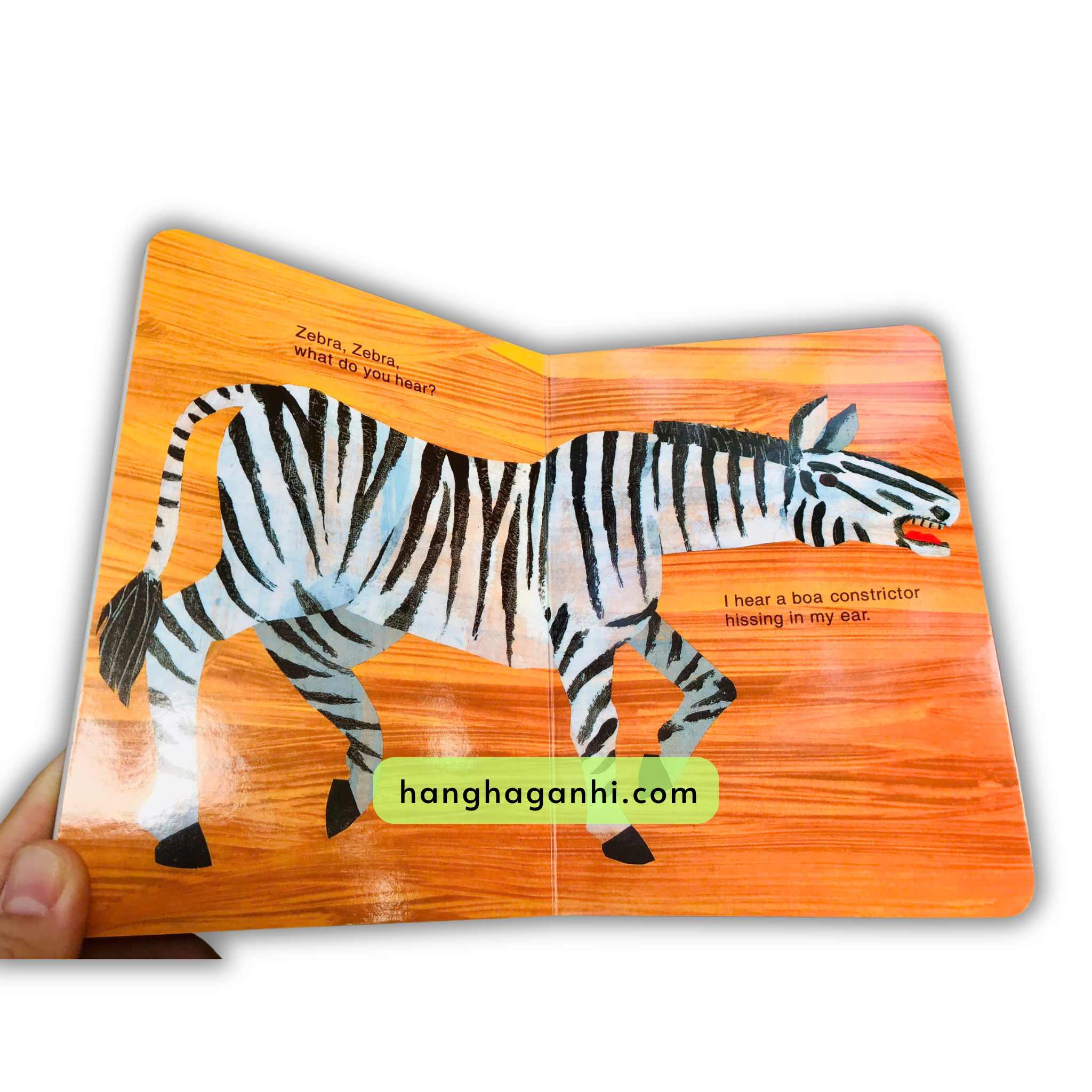 Bộ 11 cuốn sách truyện bìa cứng tiếng Anh cực nổi tiếng dành cho bé 2+ của Bill Martin Jr, Eric Carle_thumbnail_6