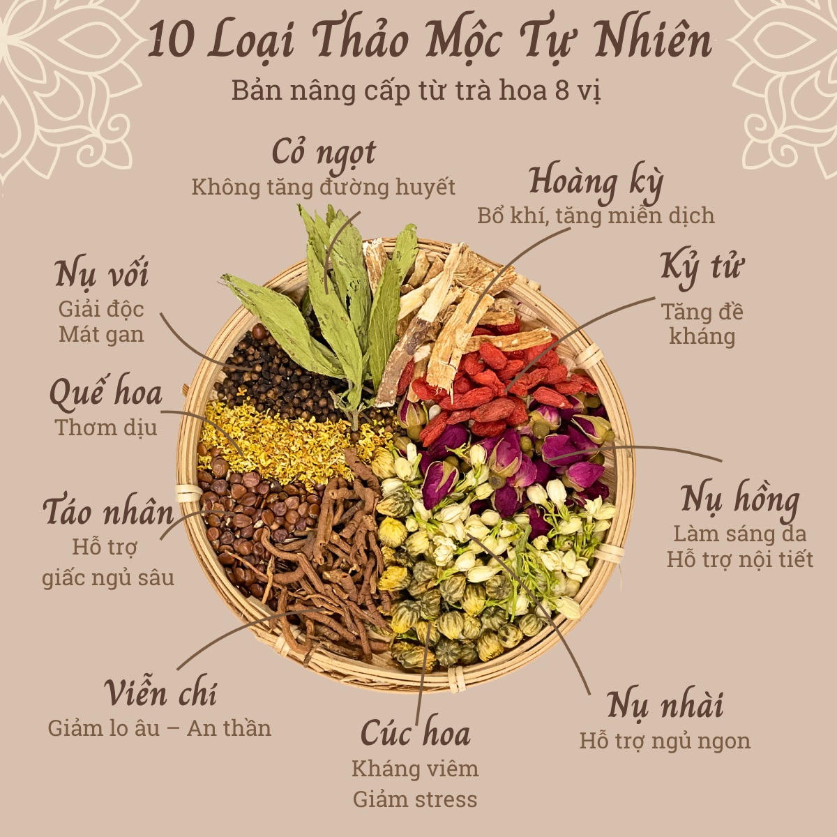 TRÀ HOA 10 VỊ_thumbnail_4