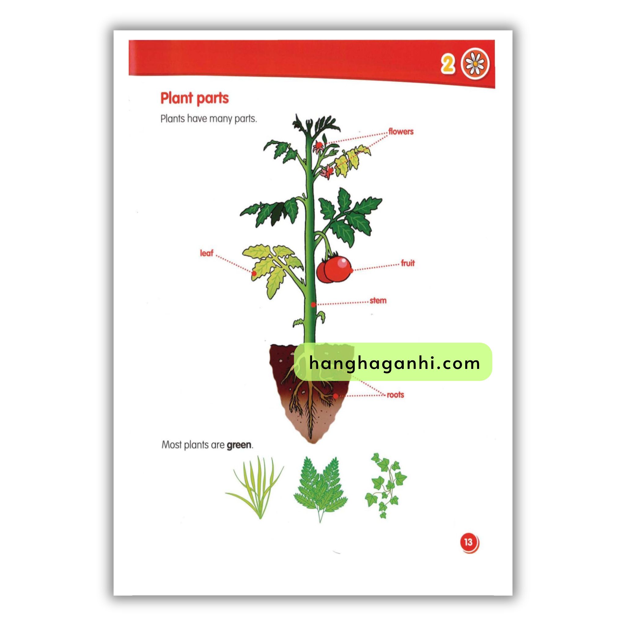 Macmillan Science 1 Pupil’s Book_thumbnail_2