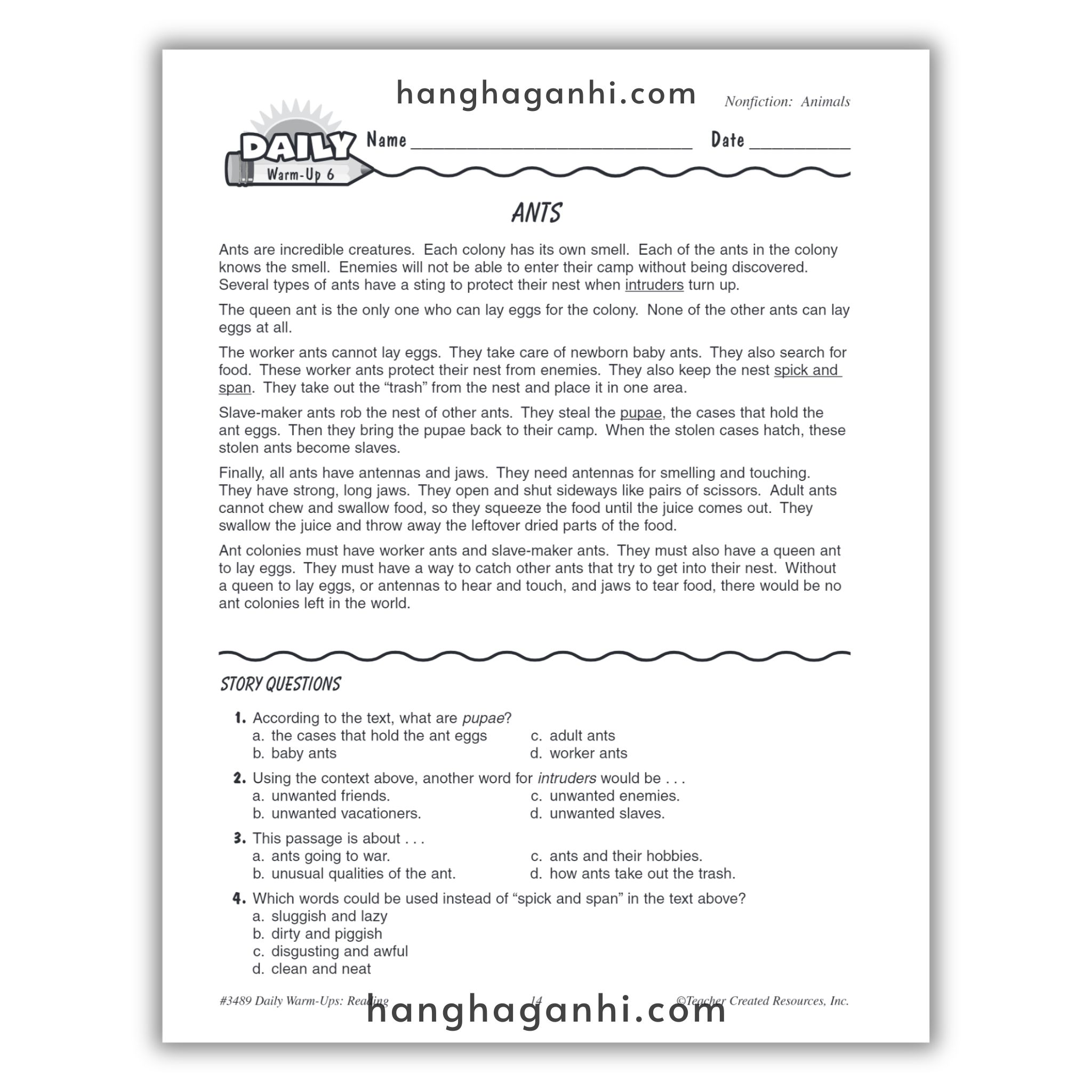 Sách Daily Warm Ups Reading Grade 3_thumbnail_3