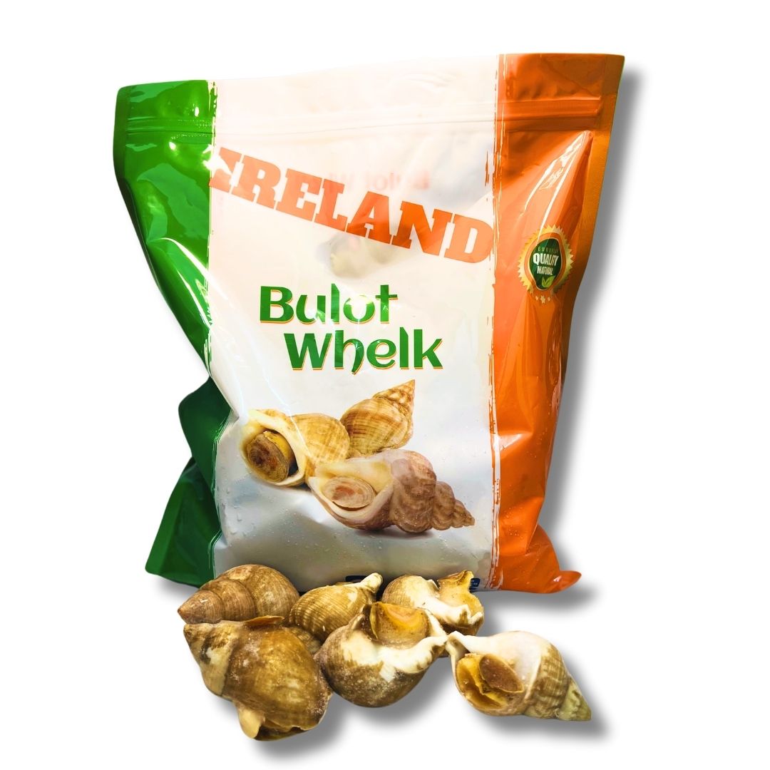 Ốc Bulot Ireland_thumbnail_0