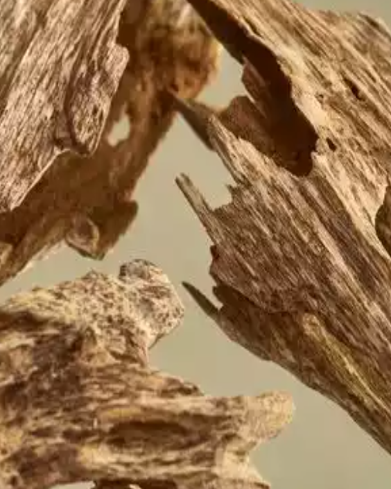 b49d6e7eca0ce0c114bf252b5abd8da18c98f08d4756dc1fb3cad3b3