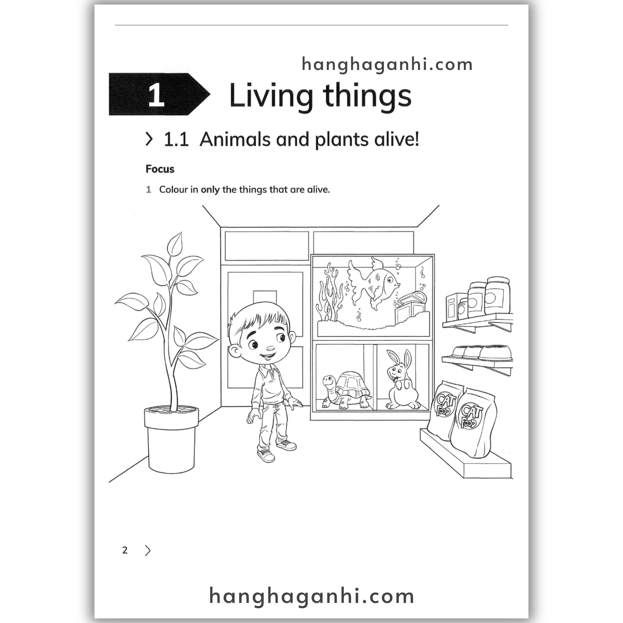 Cambridge Level 1 Primary Science Learner’s Book and Workbook 2nd edition 2021_thumbnail_10