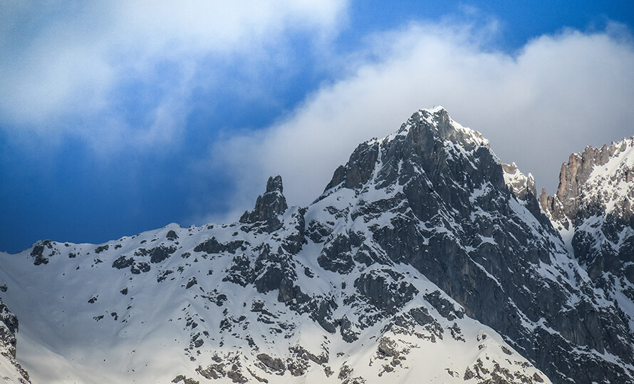 Cycling in the Woods as an Adventur