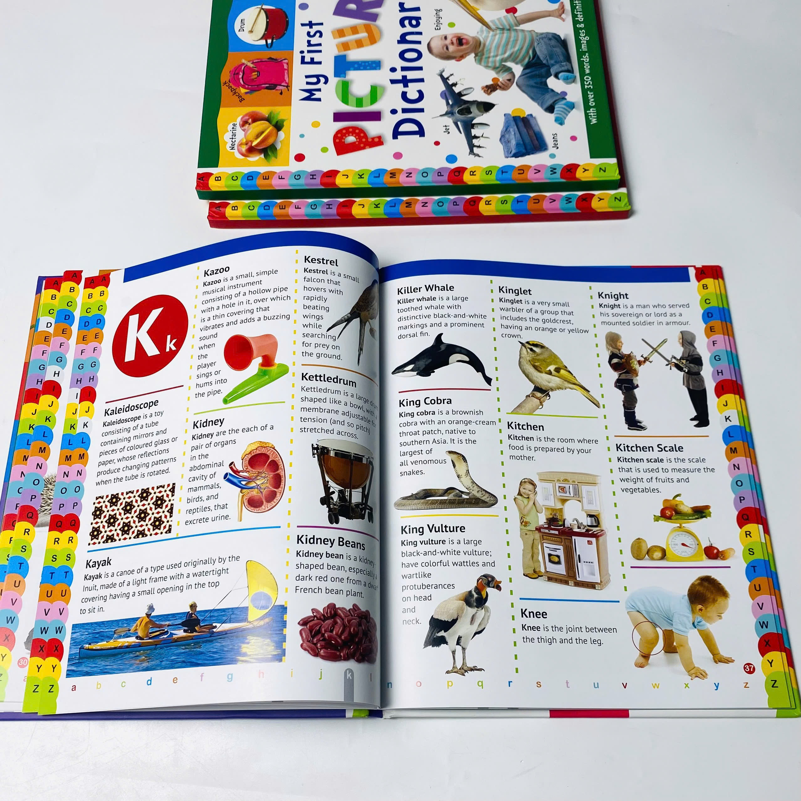 Bộ 3 cuốn từ điển bằng tranh DK My first Picture Dictionary_thumbnail_7