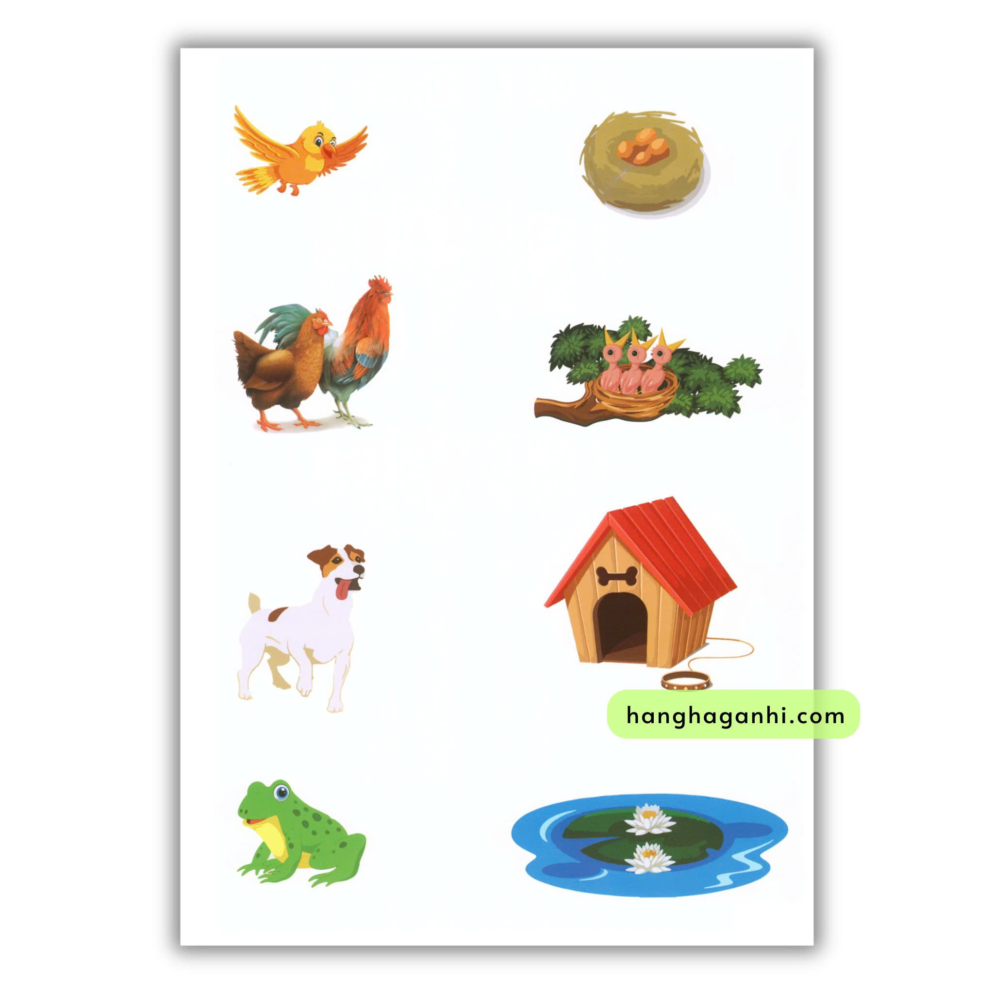 Tư duy hình ảnh luyện khả năng quan sát, học liệu ép plastic viết xoá tặng kèm bút_thumbnail_4
