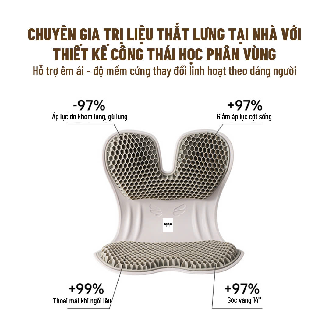 GHẾ CURBLE CÔNG THÁI HỌC_thumbnail_2