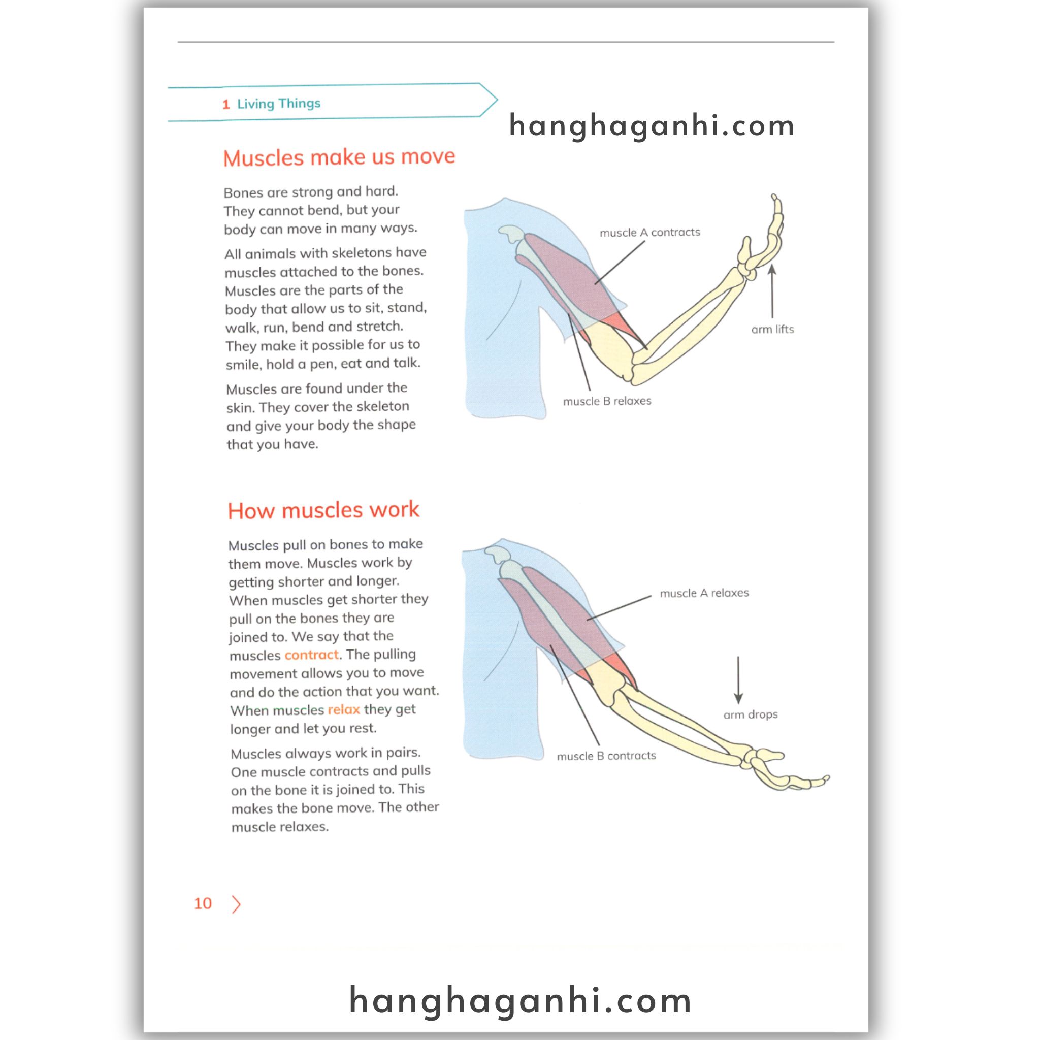 Cambridge Level 4 Primary Science Learner’s Book and Workbook 2nd edition 2021_thumbnail_6