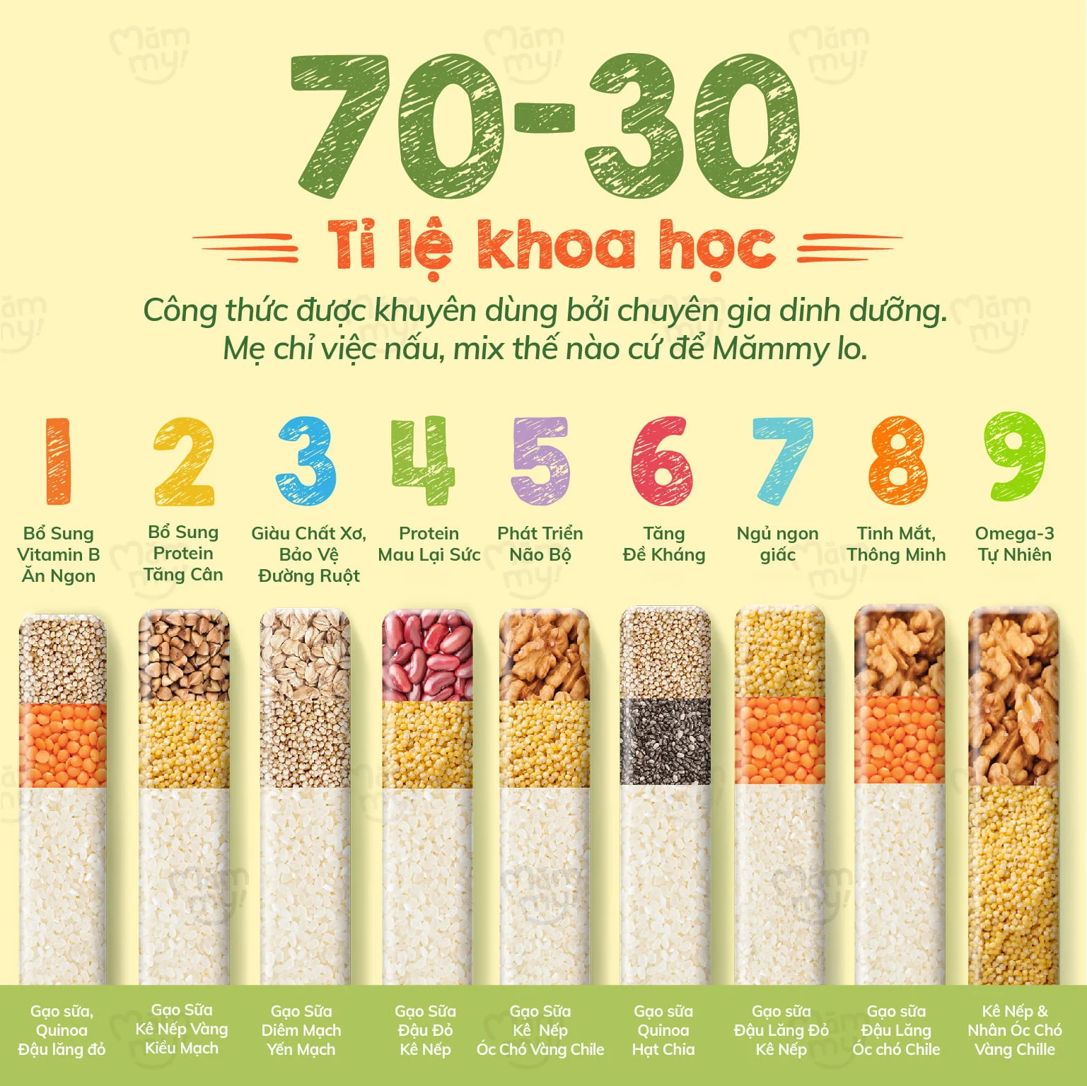 Hạt mix bổ sung protein Tăng cân Măm My_thumbnail_3