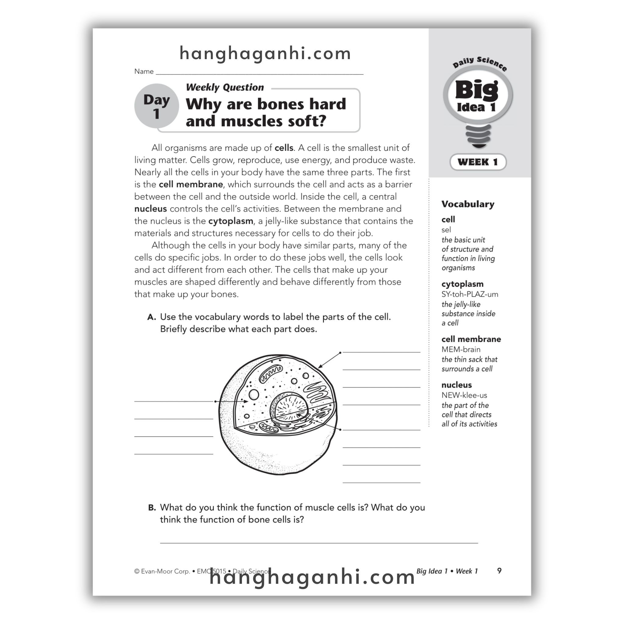 Daily Science Grade 5_thumbnail_9