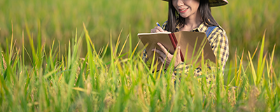 market stabilization