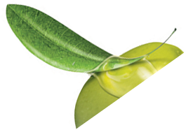leaf-1-7