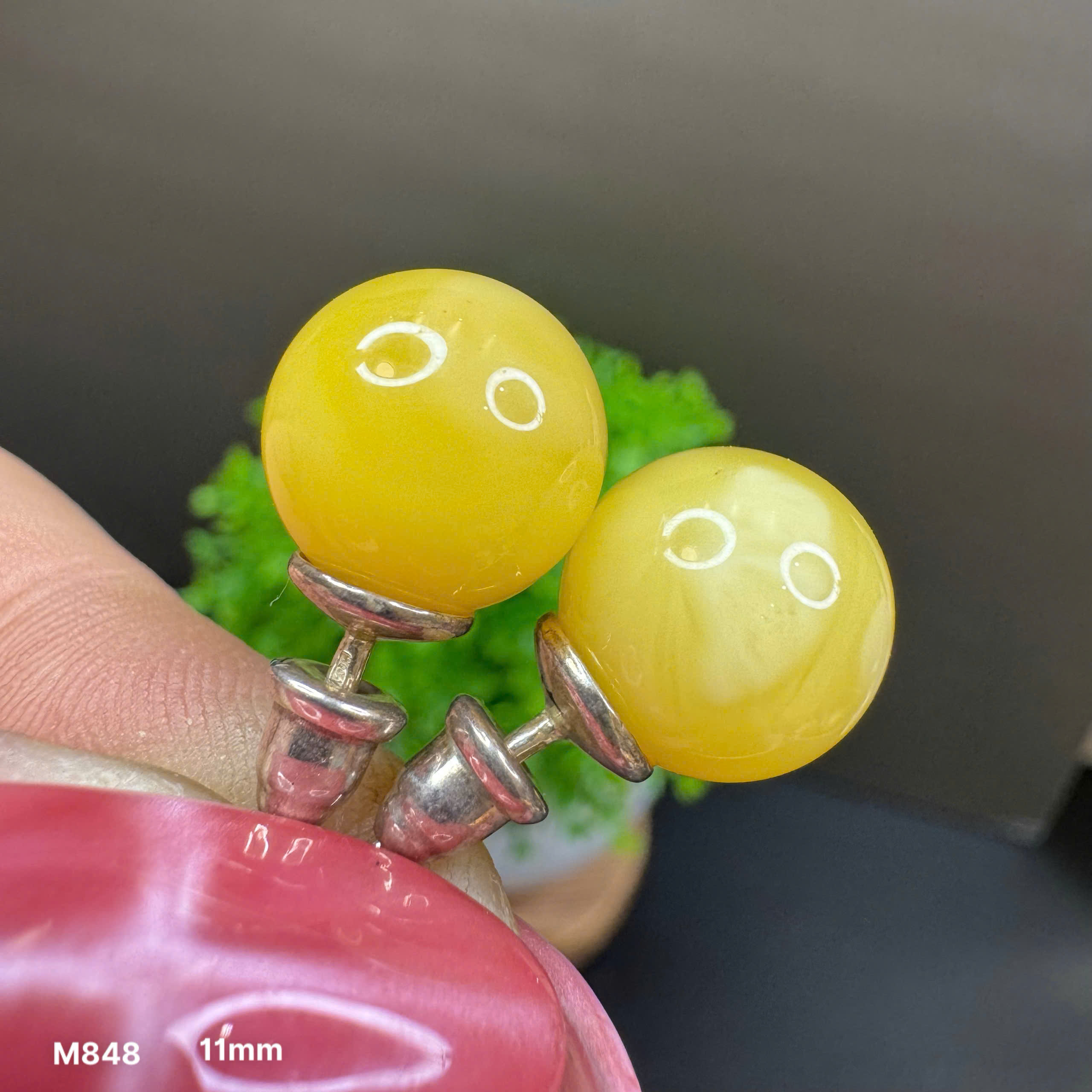 Hoa Tai Nụ Mật 11mm - M848