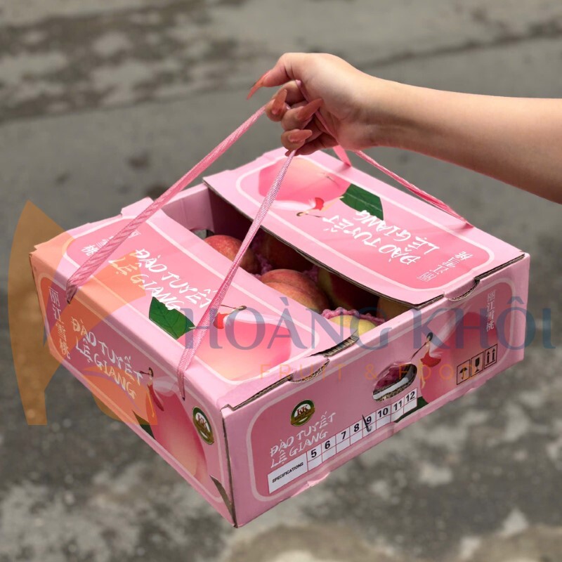 Đào Tuyết Lệ Giang_thumbnail_2