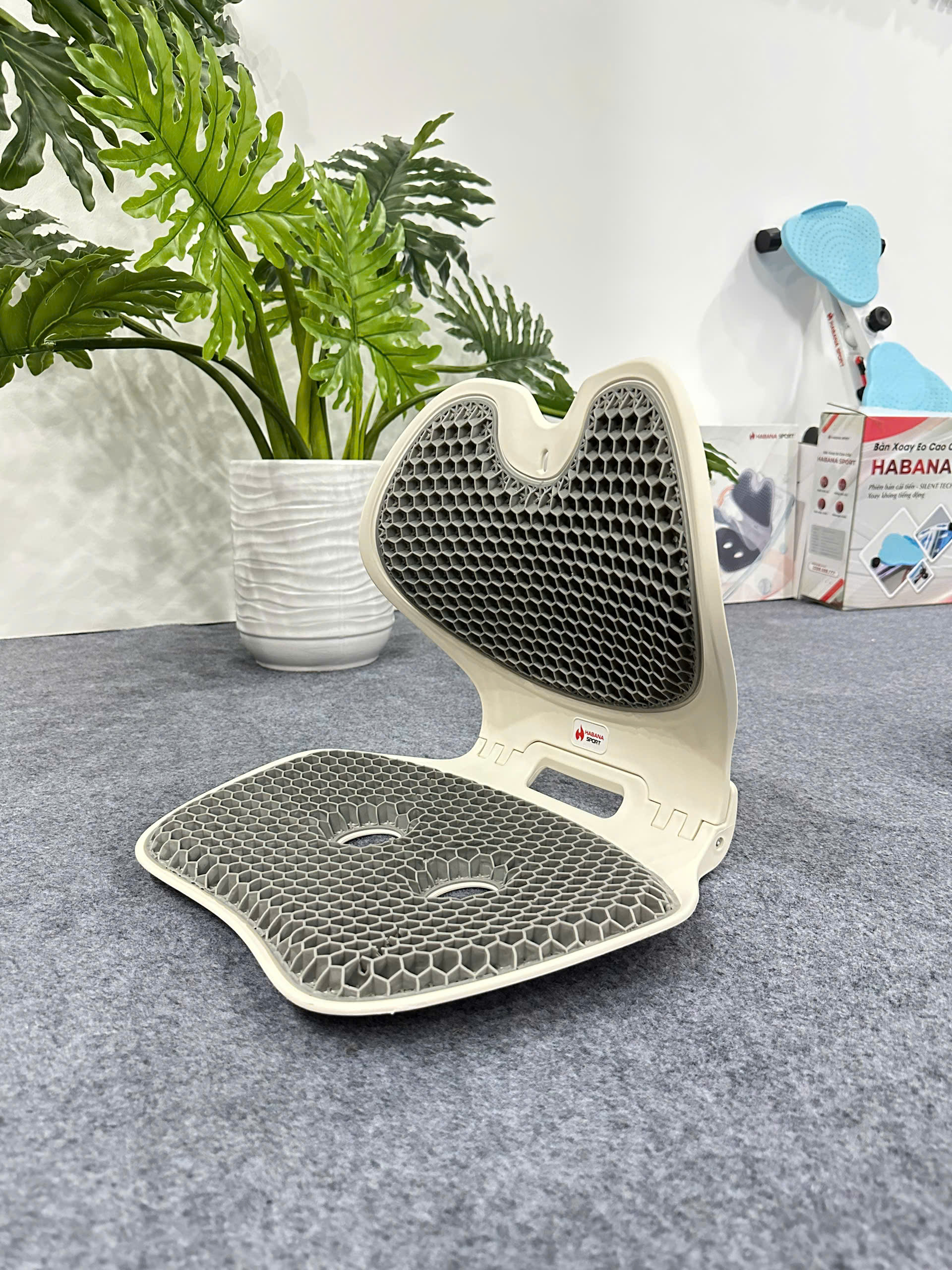 Ghế giảm đau lưng chống gù Habana Sport Chính Hãng