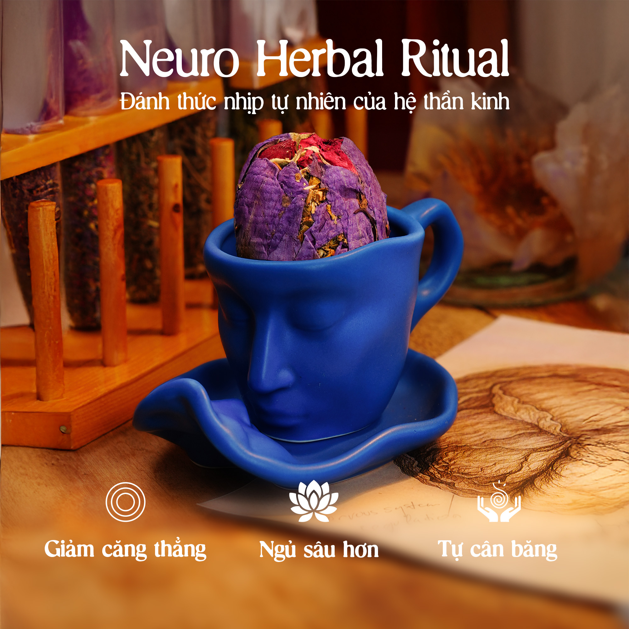 Trà Ngũ Lành - Giảm Căng Thẳng & Điều Hòa Thần Kinh & Ngủ Sâu Tự Nhiên | Natural’s Heal
