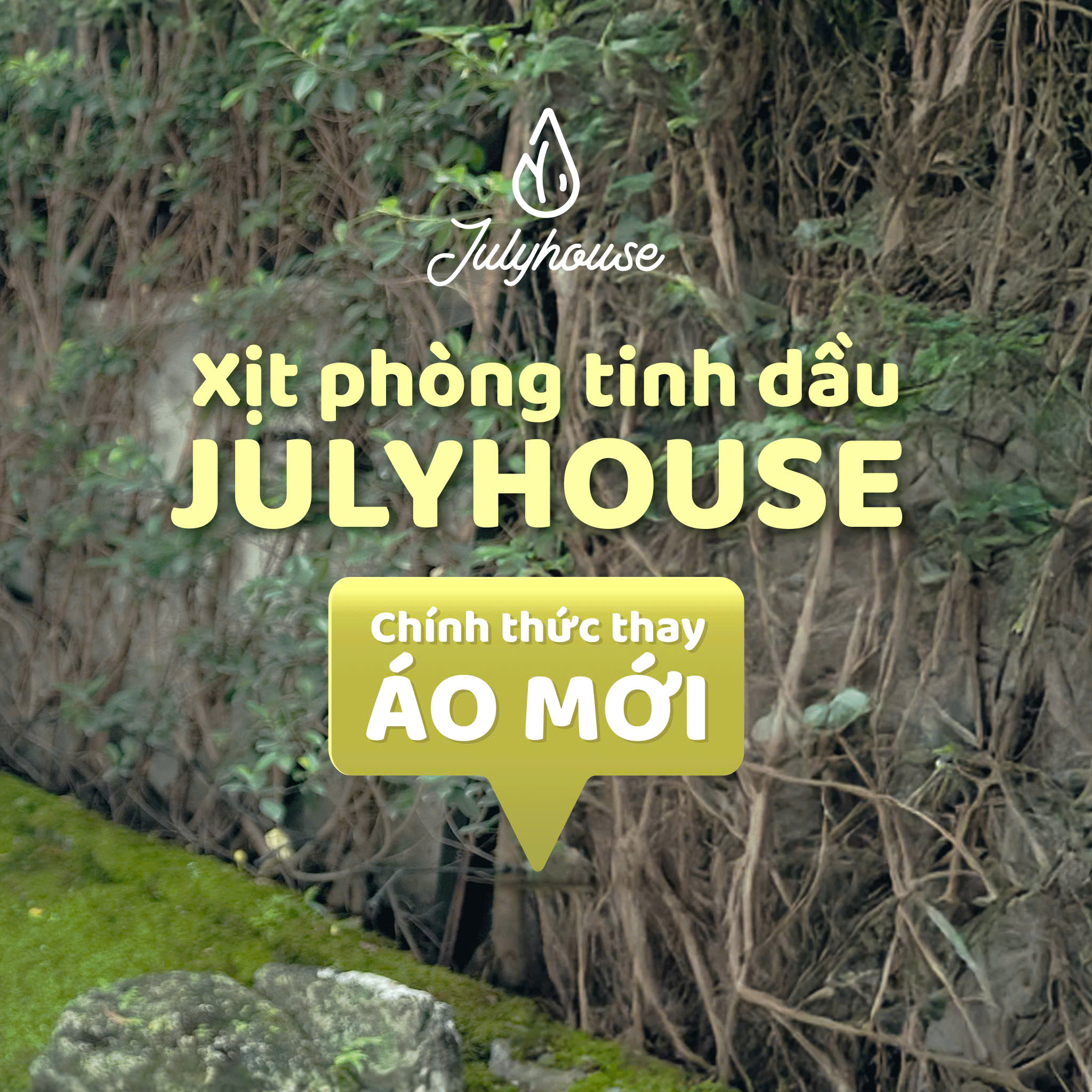 Xịt phòng tinh dầu Julyhouse ra mắt bao bì mới từ tháng 06/2025