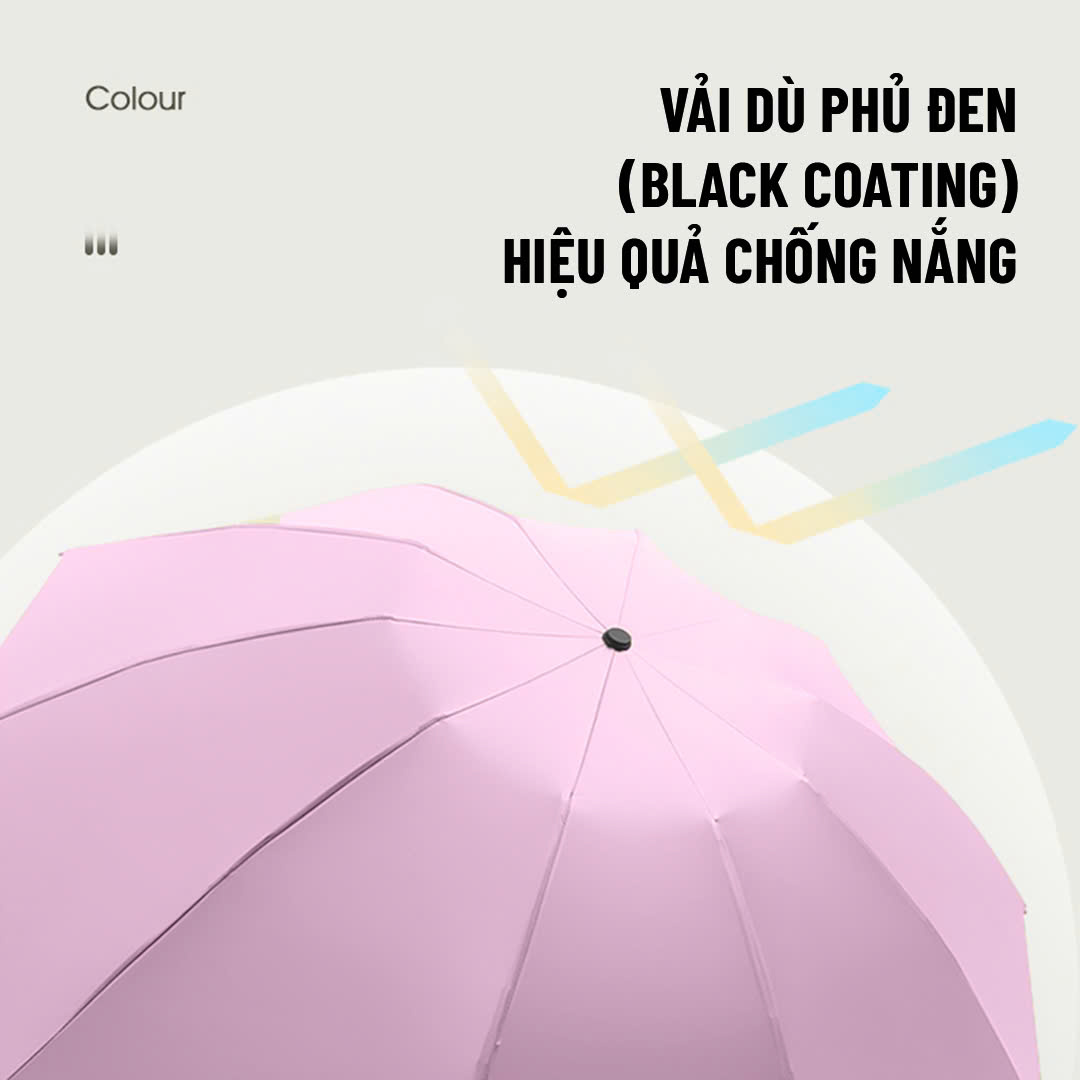 DÙ MINI_thumbnail_9