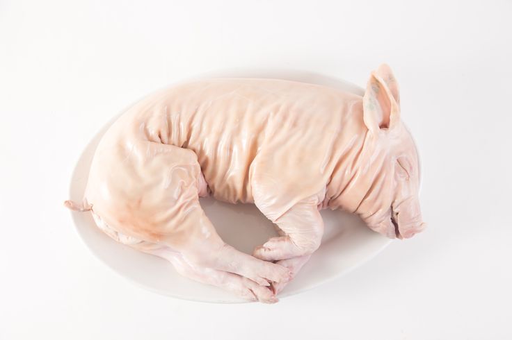 Whole Suckling Pig