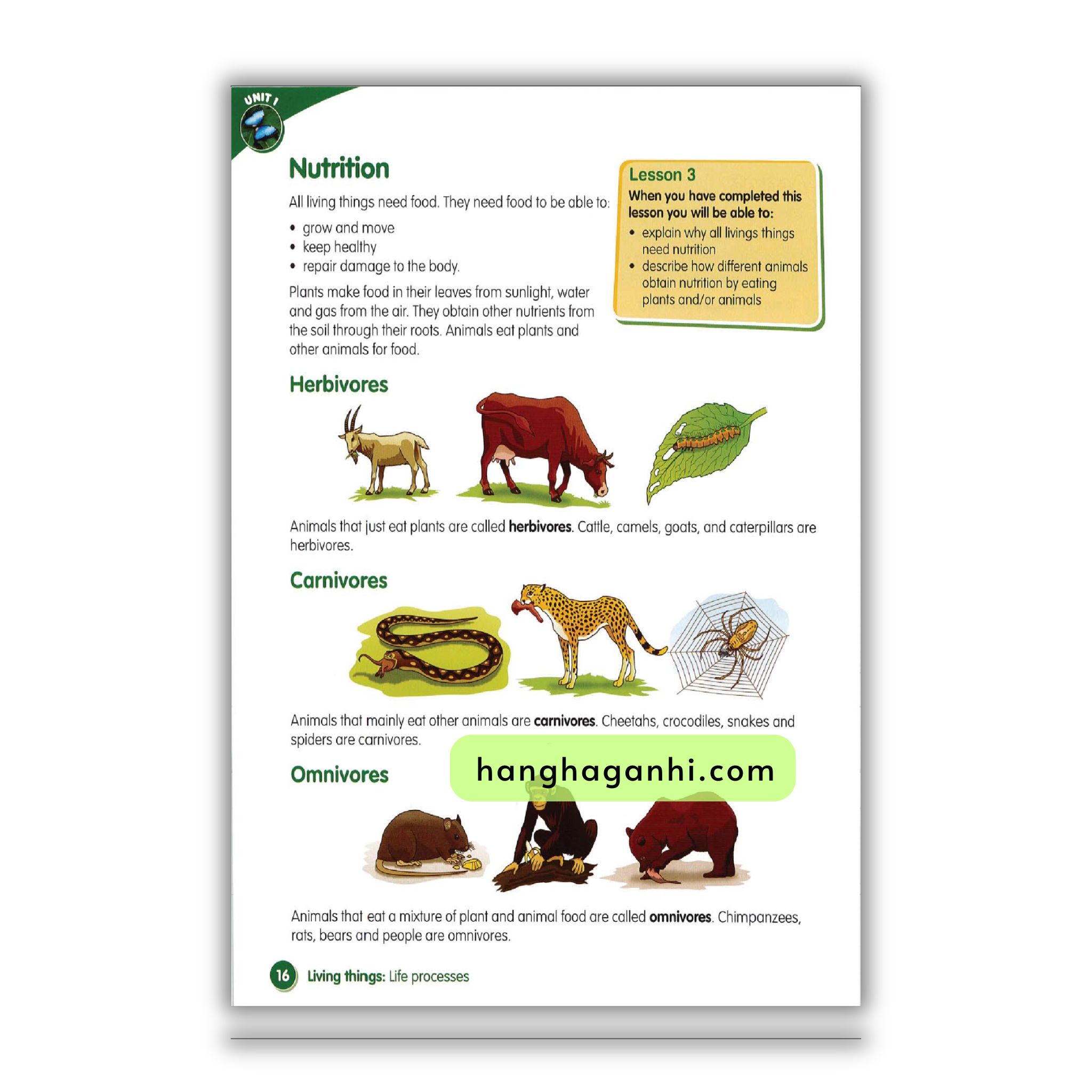 Macmillan Science 4 Pupil’s book_thumbnail_11