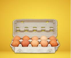 Trứng gà công nghiệp 10 quả_thumbnail_2