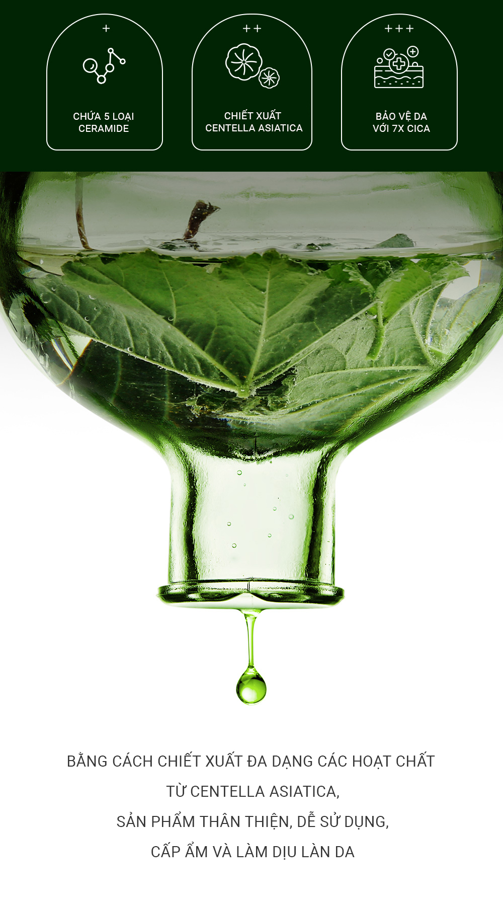 Kem dưỡng ẩm dạng Gel giúp làm dịu da Elravie HyCicaMue Cream 50ml_thumbnail_3