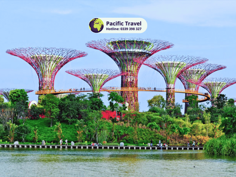 Singapore - Malaysia 5n4đ - Một hành trình hai quốc gia_6