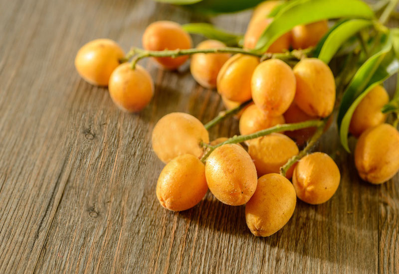 Quất Hồng Bì_thumbnail_2