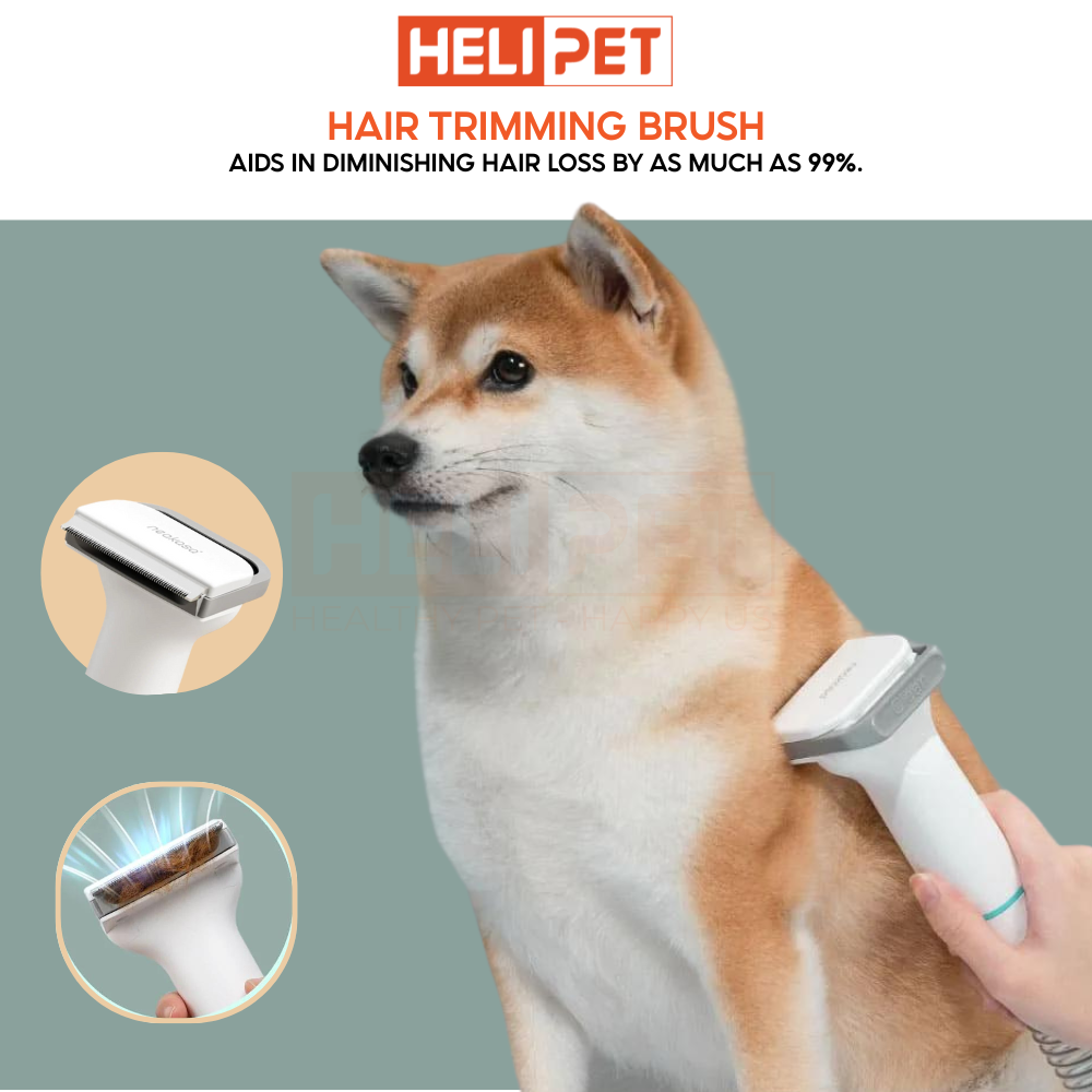 Neakasa P1 Pro 5-in-1 Pet Grooming Vacuum for Dogs Cats_thumbnail_8