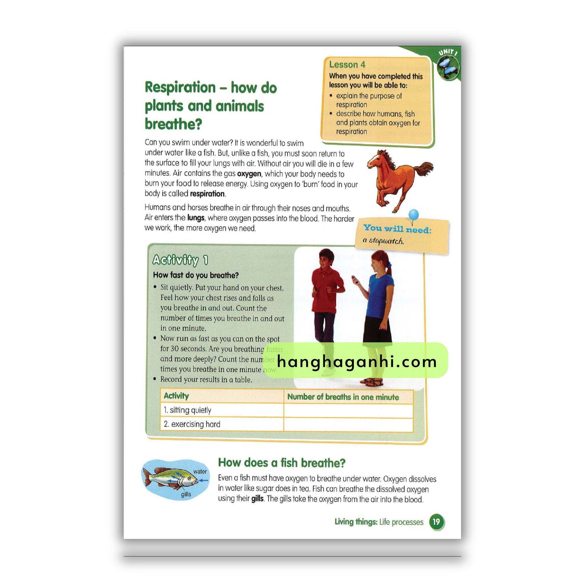 Macmillan Science 4 Pupil’s book_thumbnail_13