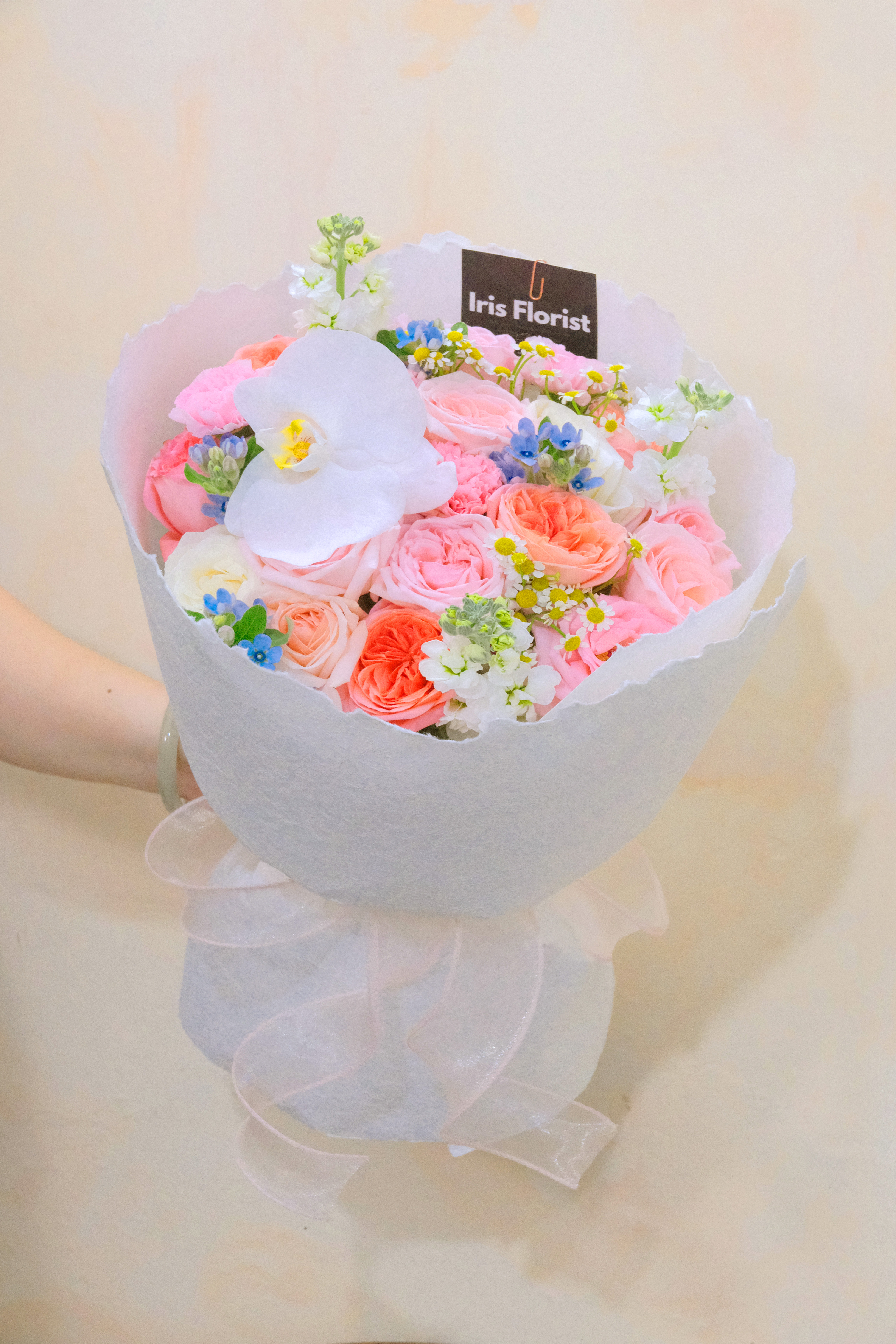 Orchid Sunset - Size M - Giấy Xé